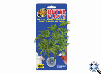 Betta Növény – Papaya